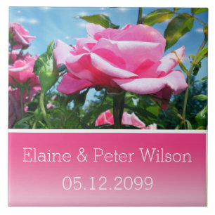 Gorgeous pink rose flowers wedding anniversary tile