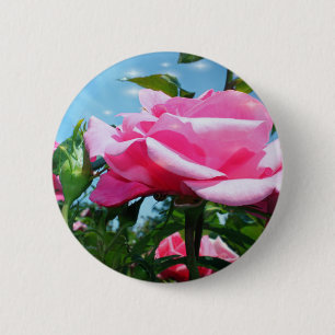 Gorgeous pink rose in blue sky. Floral photography 6 Cm Round Badge