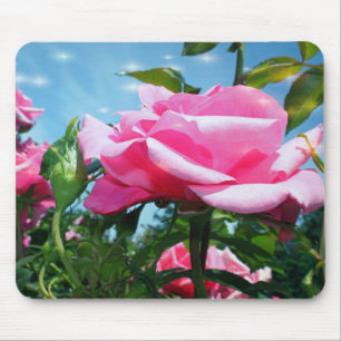 Gorgeous pink rose in blue sky. Floral photography Mouse Mat
