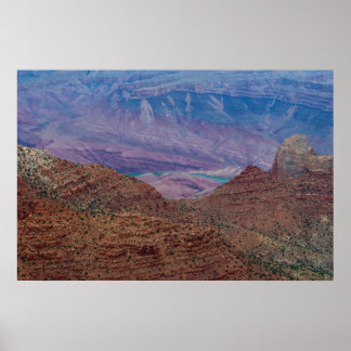 Gorgeous Point 4876 Print