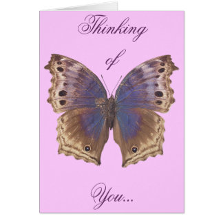 Gorgeous Purple Butterfly