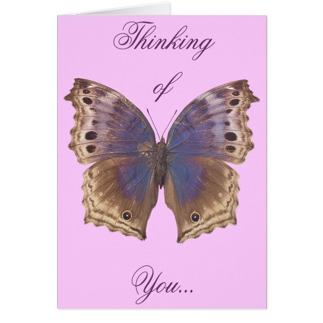 Gorgeous Purple Butterfly (Front)