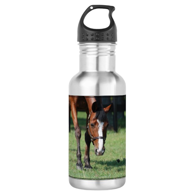 Gorgeous Quarter Horse 532 Ml Water Bottle (Front)
