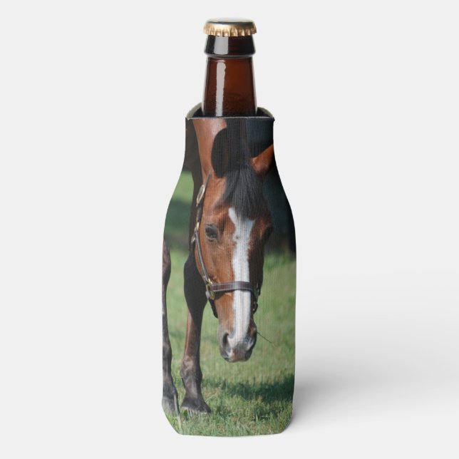 Gorgeous Quarter Horse Bottle Cooler (Bottle Front)