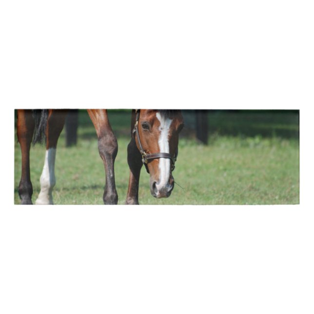 Gorgeous Quarter Horse Name Tag (Front)