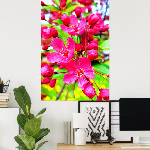 Gorgeous Red Barron Crabapple Photo Poster