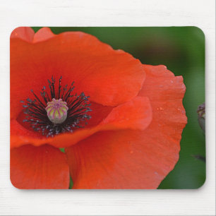 Gorgeous Red Poppy Mouse Mat