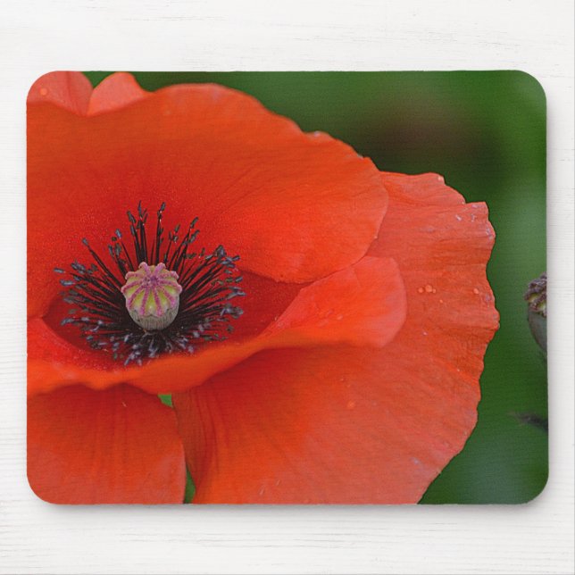 Gorgeous Red Poppy Mouse Mat (Front)