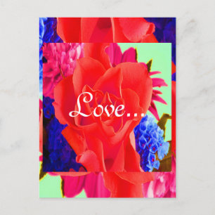 Gorgeous Red Red Rose Valentine II Postcard