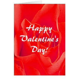 Gorgeous Red Red Rose Valentine Plain III Card