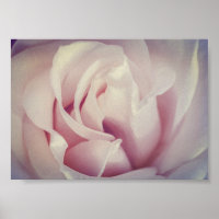 Gorgeous Rose Lavender Pink Flower Archival
