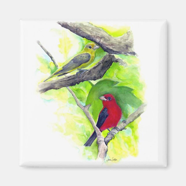 Gorgeous Scarlet Tanagers Painting Magnet (Front)