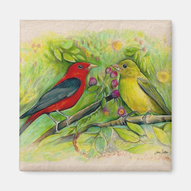 Gorgeous Scarlet Tanagers Watercolor Painting Magnet (Front)