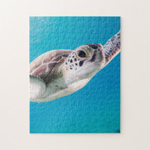 Gorgeous Sea Turtle Swimming in the Ocean