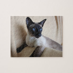 siamese cat jigsaw puzzle