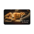 Gorgeous Sleeping German Shepherd in Watercolor