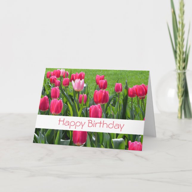 gorgeous spring pink tulip flowers happy birthday card (Front)