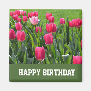 gorgeous spring pink tulip flowers happy birthday magnet