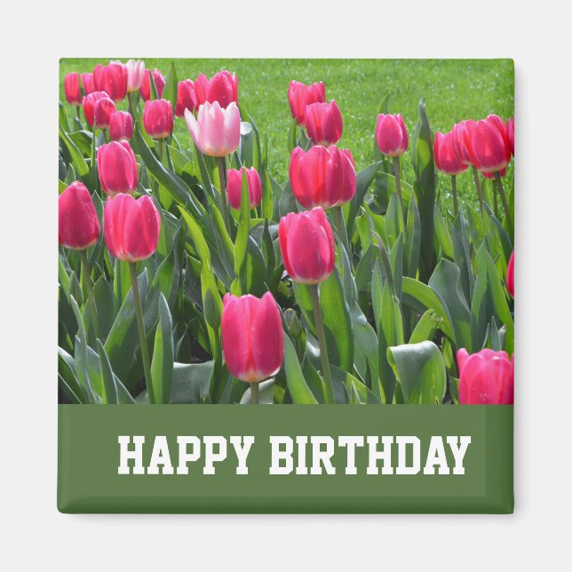 gorgeous spring pink tulip flowers happy birthday magnet (Front)