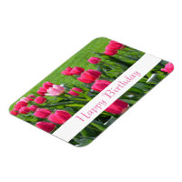gorgeous spring pink tulip flowers happy birthday