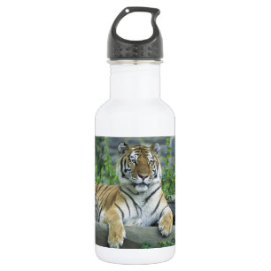 GORGEOUS TIGER 532 ML WATER BOTTLE