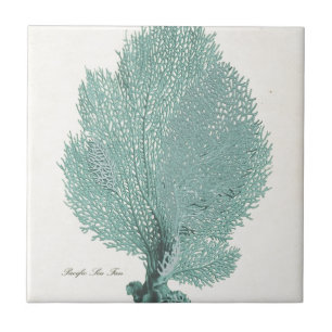 Gorgeous Turquoise/Aqua Pacific Sea Fan Tile