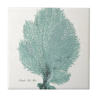 Gorgeous Turquoise/Aqua Pacific Sea Fan Tile