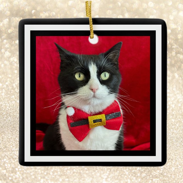Gorgeous Tuxedo Cat Christmas Ornament  (Creator Uploaded)