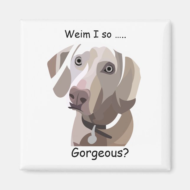 Gorgeous Weimaraner magnet (Front)
