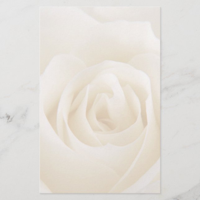 Gorgeous white cream rose Stationery (Front)
