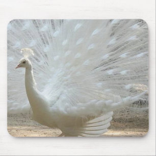 gorgeous white peacock mouse mat