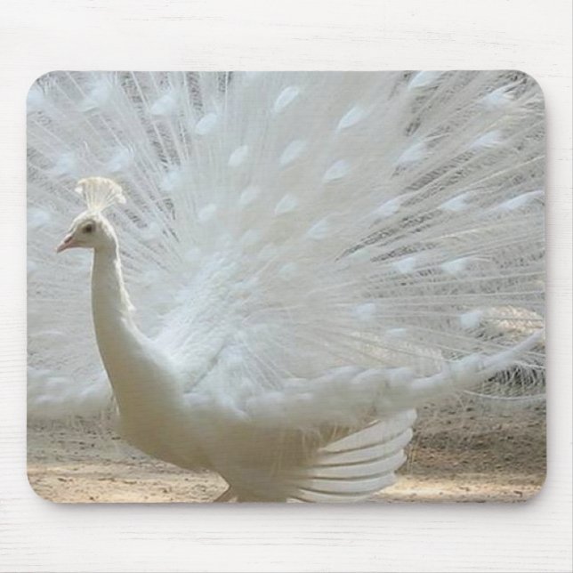 gorgeous white peacock mouse mat (Front)