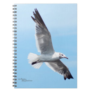 Gorgeous White Seagull Flying Notebook