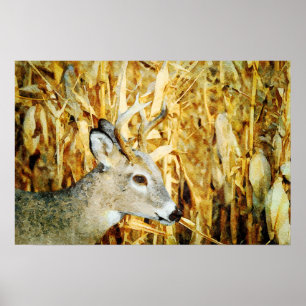 Gorgeous Whitetail Deer Buck Watercolor Painting Poster