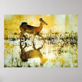 Gorgeous Whitetail Deer Doe Watercolor Painting Poster