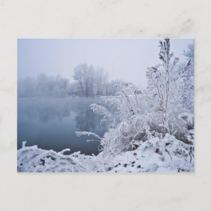Gorgeous Winter Lake  Scene Save the Date Postcard