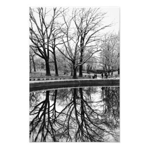 Gorgeous Winter Landscape in Central Park Photo Print