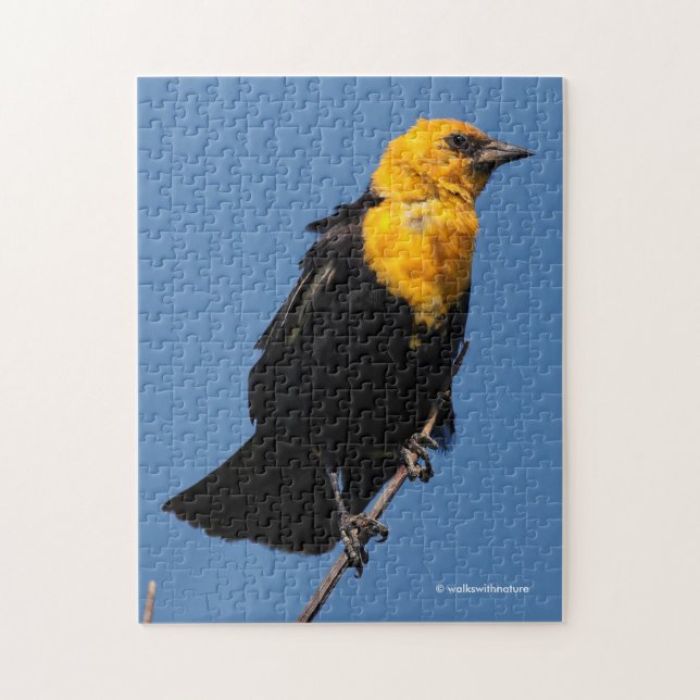 Gorgeous Yellow-Headed Blackbird on a Windy Day Jigsaw Puzzle (Vertical)
