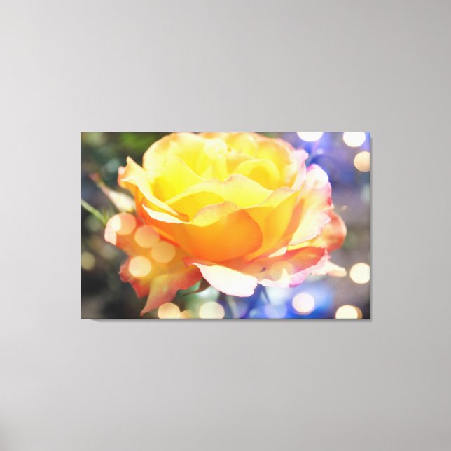Gorgeous yellow rose flower.  Floral photography Canvas Print (Front)