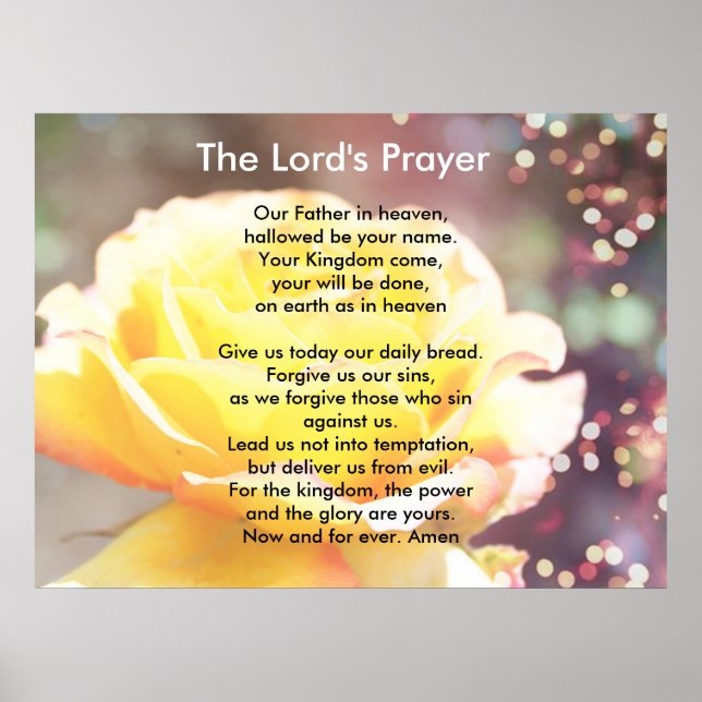 Gorgeous yellow rose flower, The Lord's Prayer Poster (Front)