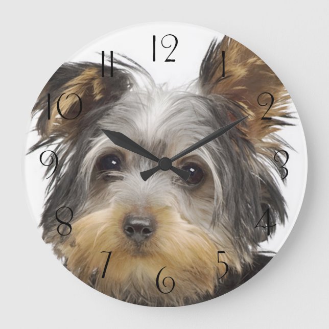 Gorgeous Yorkshire Terrier Large Clock (Front)