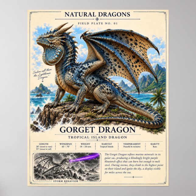 Gorget Dragon Field Plate Poster (Front)