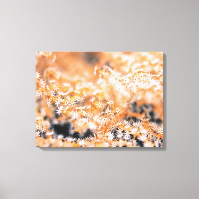 Gorgonian coral 2 canvas print (Front)