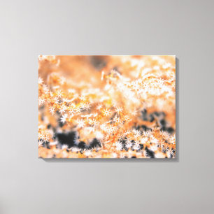 Gorgonian coral 2 canvas print