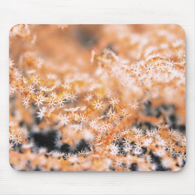 Gorgonian coral 2 mouse mat (Front)