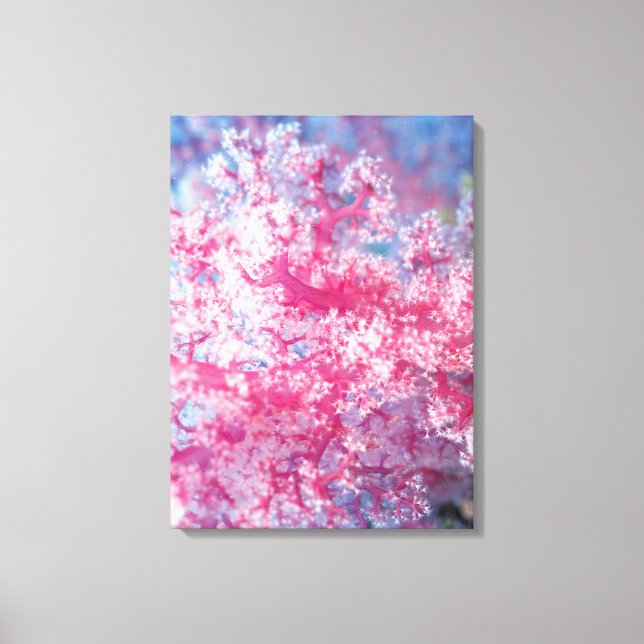 Gorgonian coral canvas print (Front)