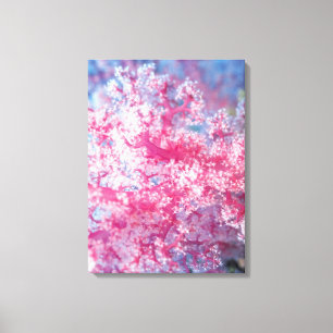 Gorgonian coral canvas print