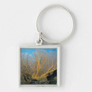 Gorgonian coral key ring