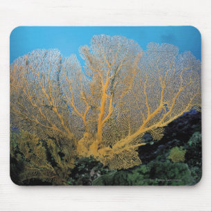 Gorgonian coral mouse mat