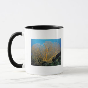 Gorgonian coral mug